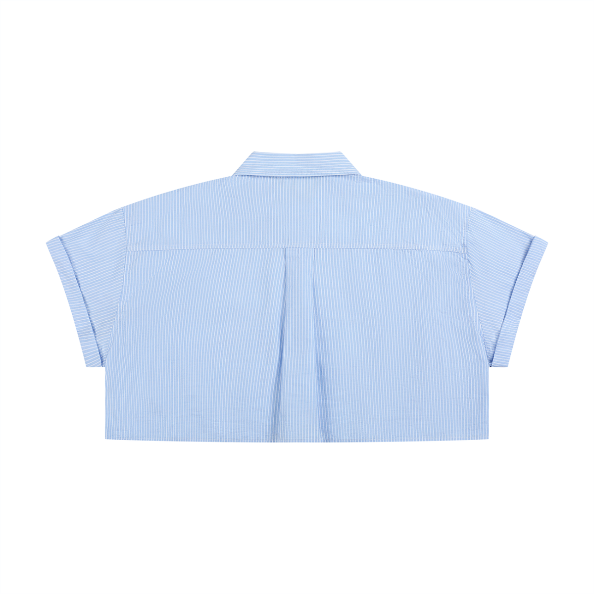 Blue back