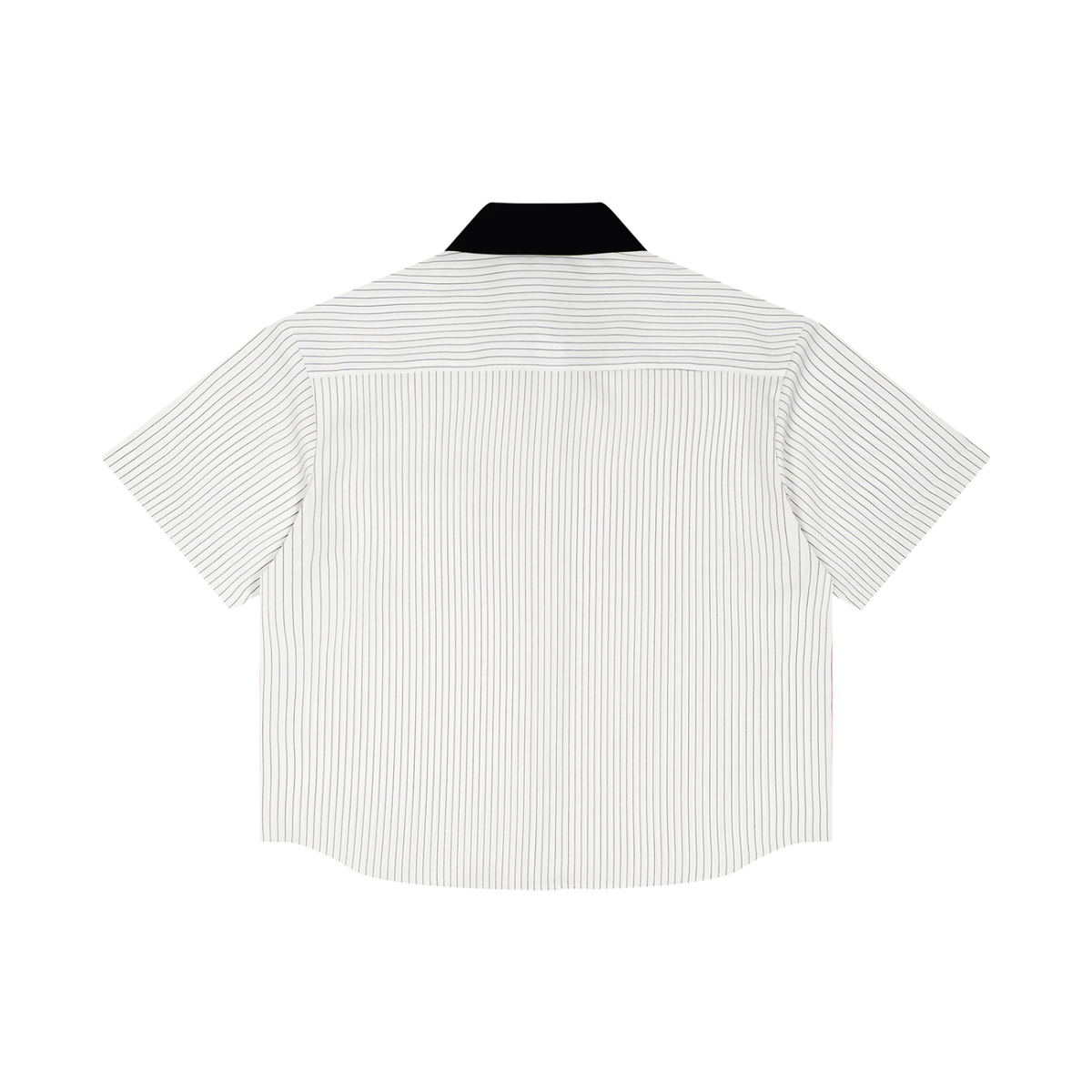 White back