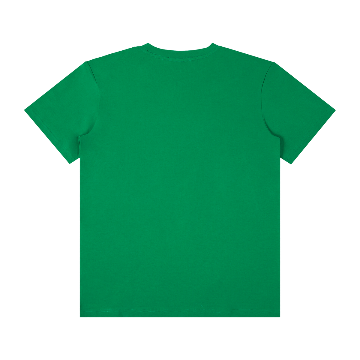 Fern Green back