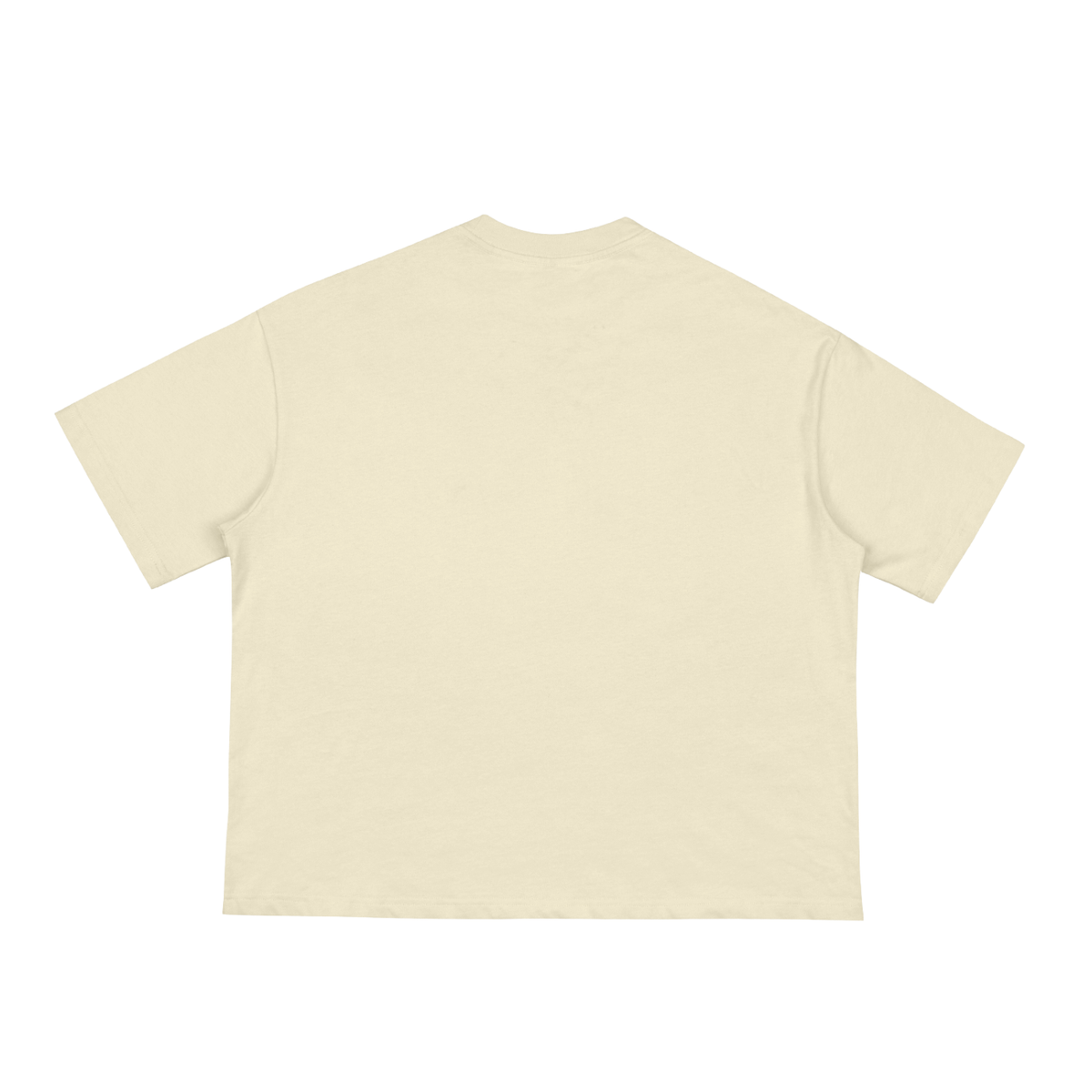 Free Spirit Boxy Tee – Apricot – back