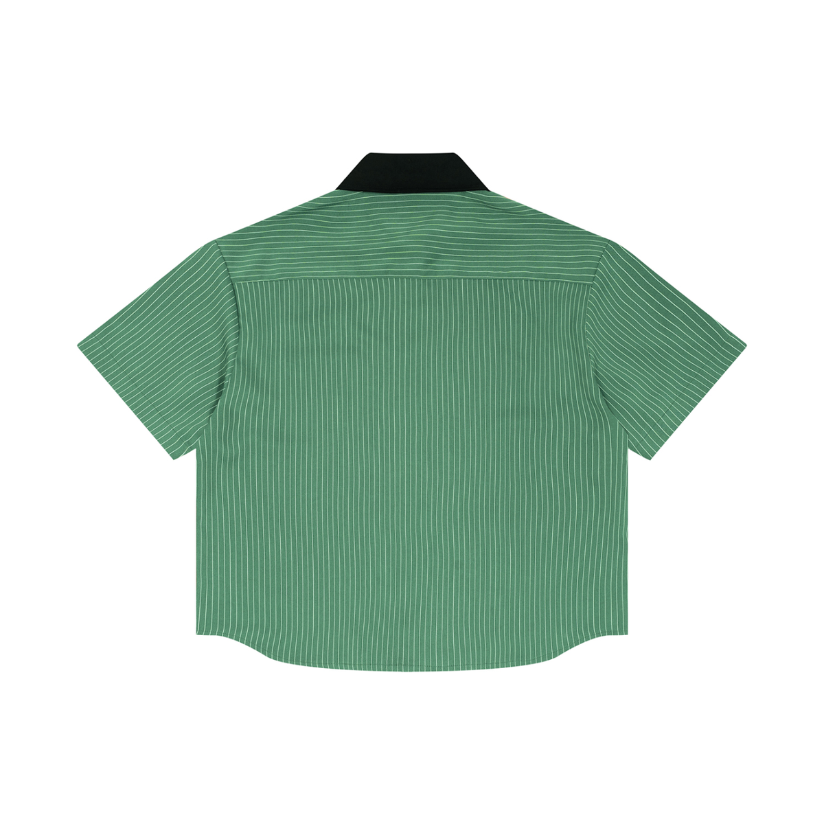 Dark Green back