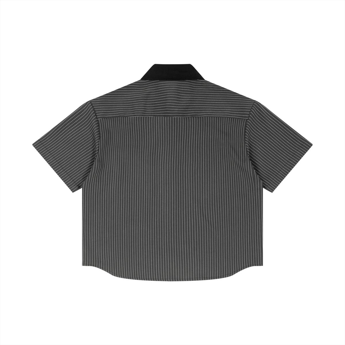 Dark Gray back