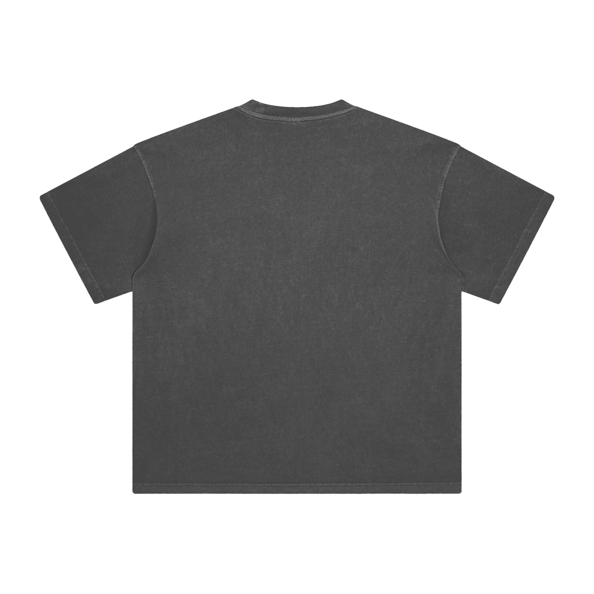 Acid Rain Enzyme Washed Tee – Dark Gray – back
