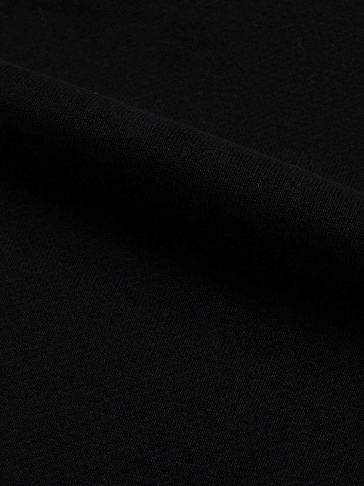 Black Beauty detail