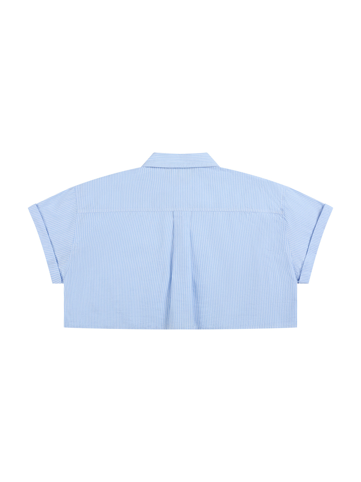 Blue back