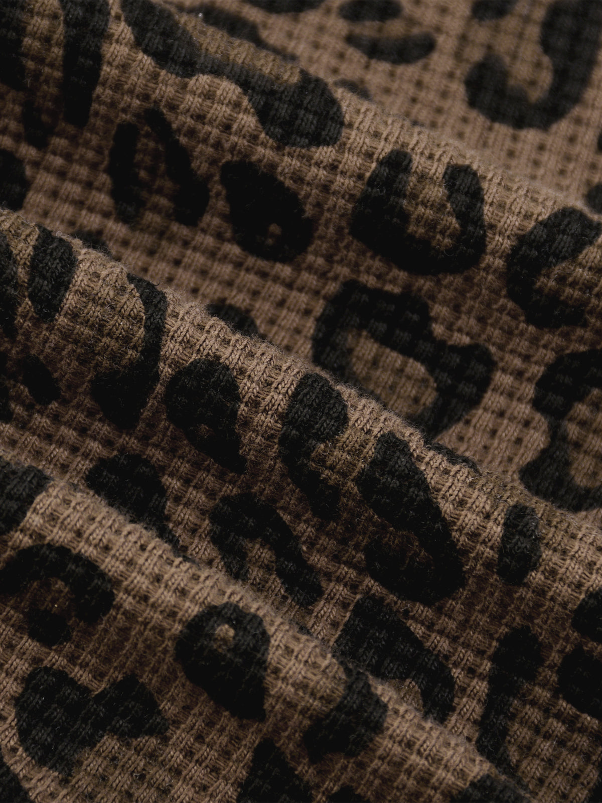 Leopard Brown detail