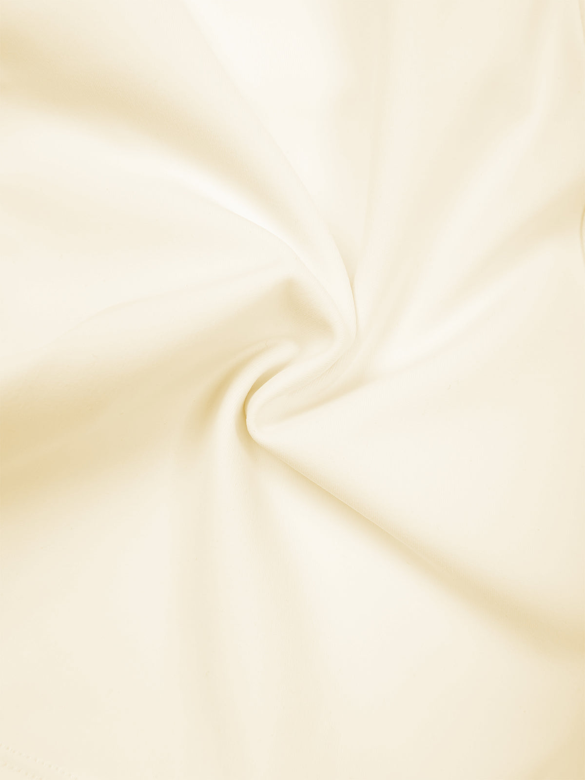 Apricot detail